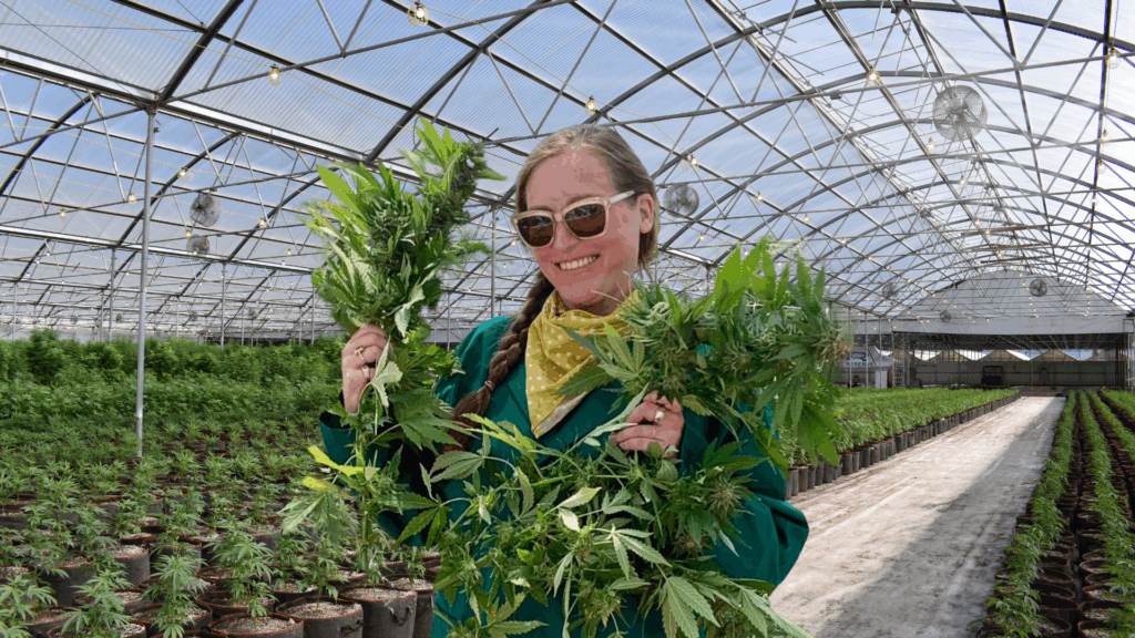 Elizabeth Cannabis Haze Valley Nursery