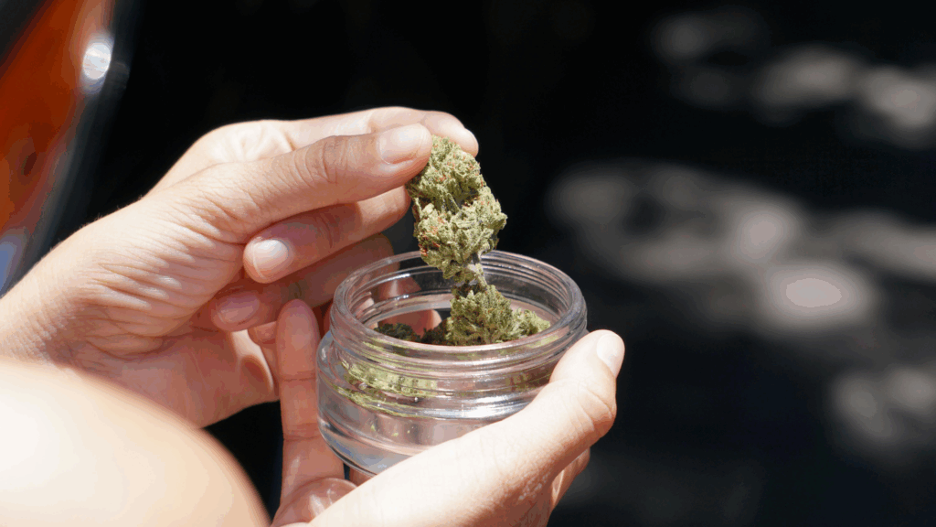 How to Tell If Cannabis Flower Is High Quality