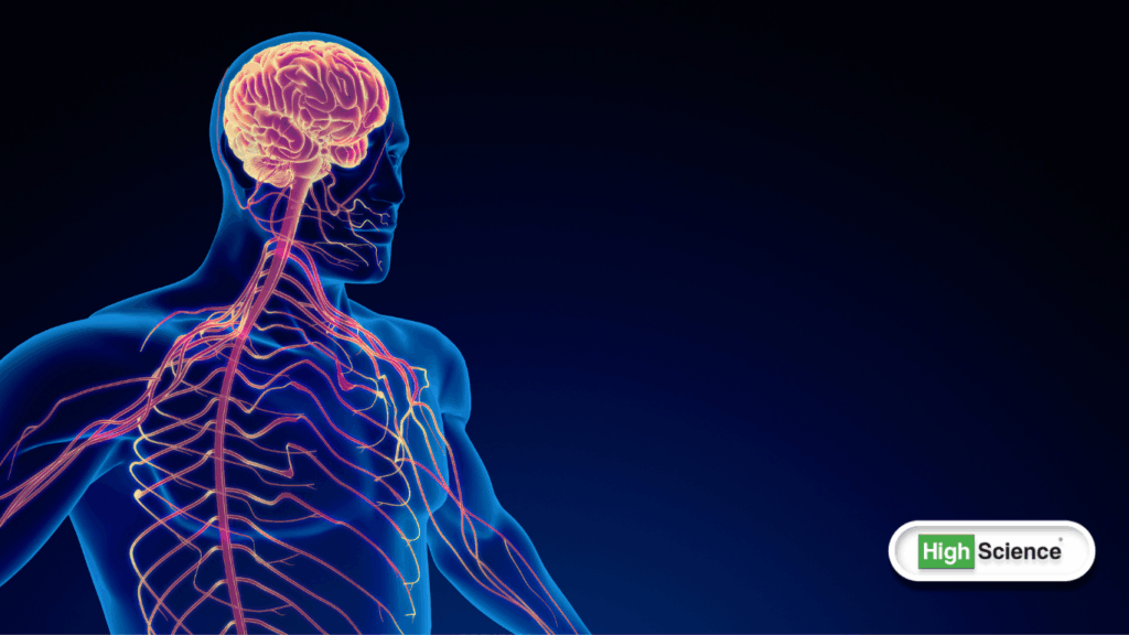 Endocannabinoid System and Cannabis