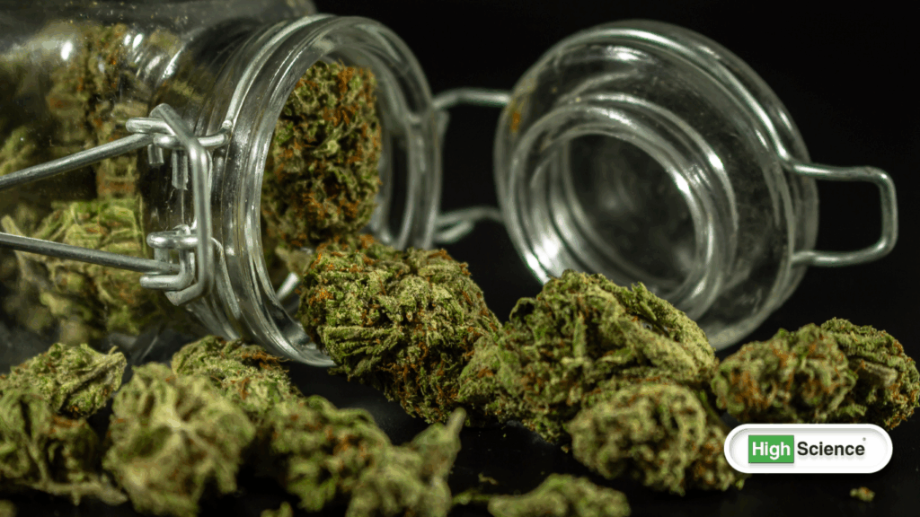 Why CBD Feels Different