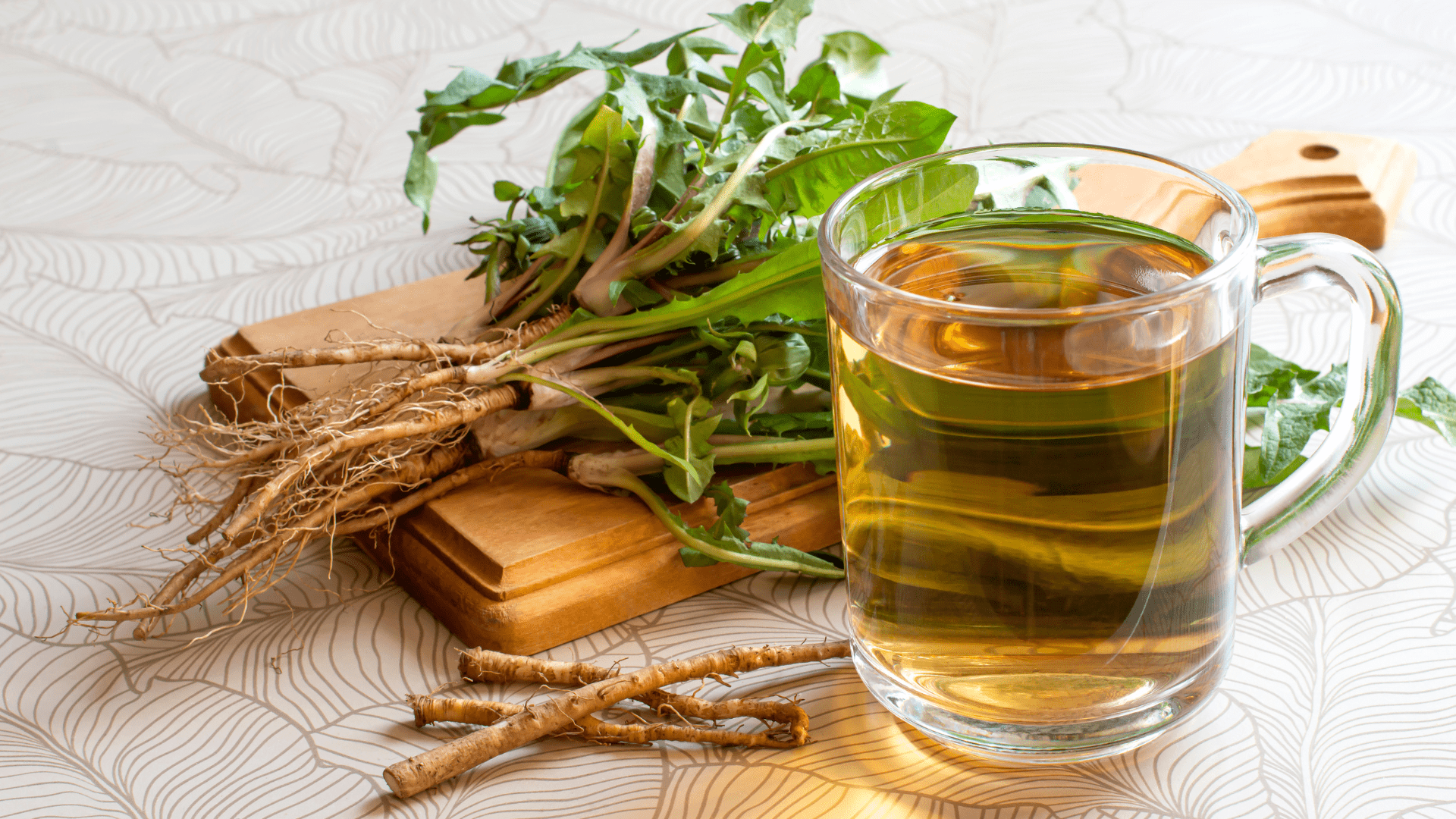 Key Compounds In Dandelion Root Explained Dandelion Root Research 