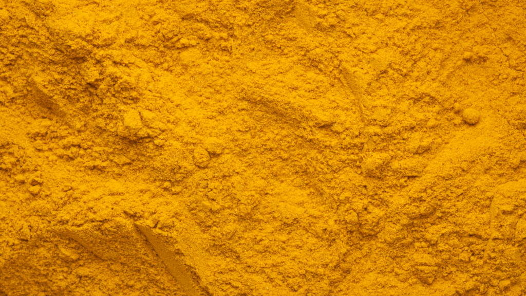Finely ground turmeric powder showing the natural texture and color of the Curcuma longa plant used in food, supplements, and plant science research