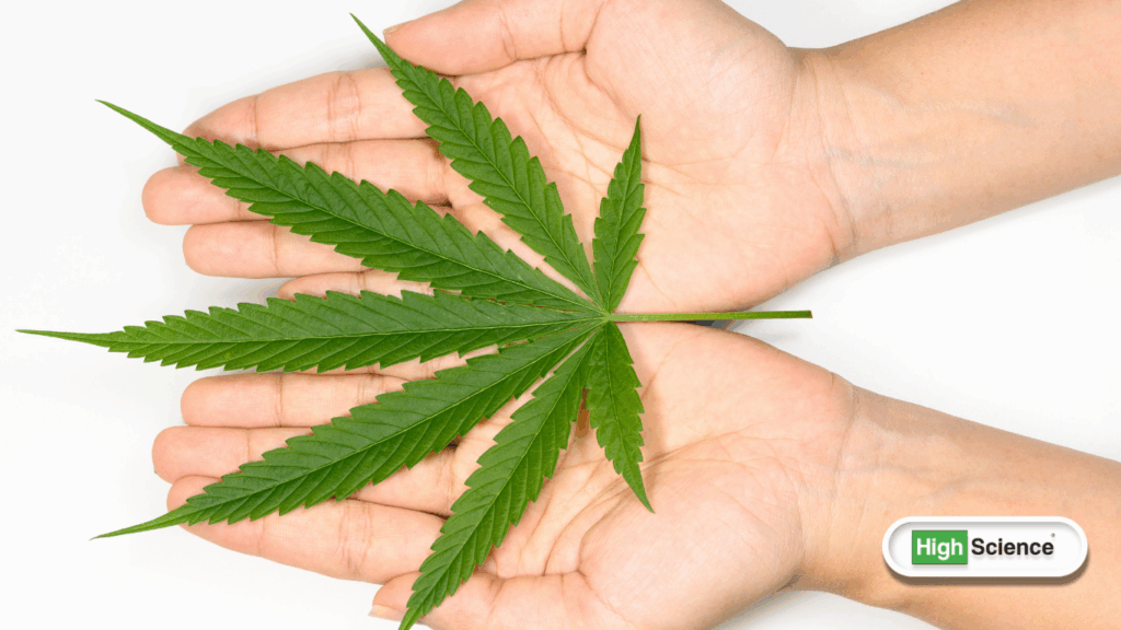 What Science Says About Cannabis and Mental Health