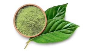 Kratom Alkaloid Stability