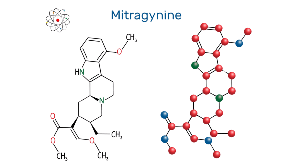 Mitragynine vs 7-Hydroxymitragynine Molecule Structures in Kratom