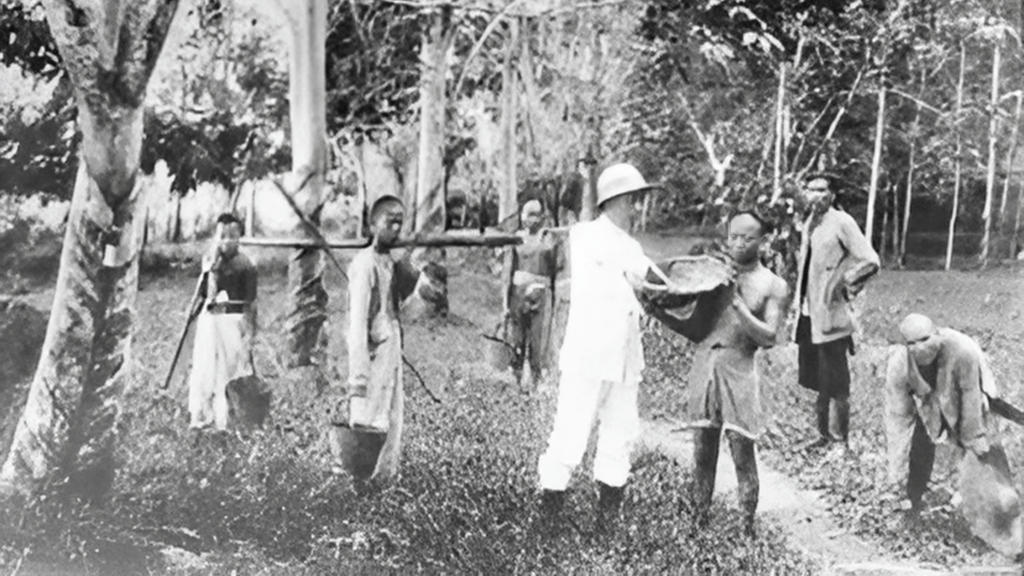 Thai Kratom Act 1943